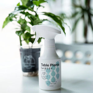 ギフトにおすすめ！【土を使わない観葉植物】テーブルプランツ (Table Plants) ×マクラメカバー×Table Plants Water(テーブルプランツウォーター)セット