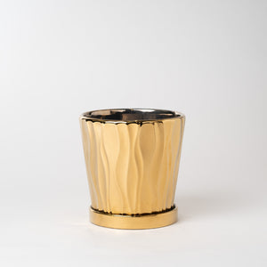 サンスベリア 5号 オリジナル陶器ポットセット 【SHEL'TTER GREENのおしゃれな植木鉢でお届け】