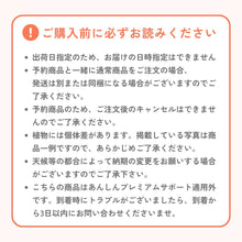 画像をギャラリービューアに読み込む, 【限定40個】カラー・フローズンクイーン 5号 ※予約商品:12/15まで 出荷予定:12/20
