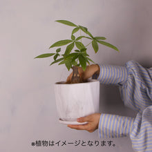 画像をギャラリービューアに読み込む, 【おしゃれな植木鉢】SHEL&#39;TTER GREEN マーブル陶器ポット グレー系
