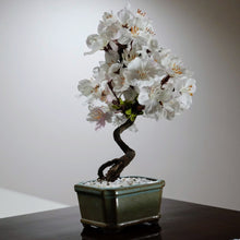 画像をギャラリービューアに読み込む, ドライ盆栽®桜　ミニ　※桜の花はフェイクフラワーです
