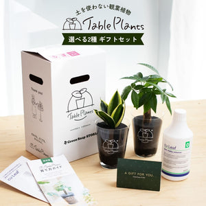 【ギフトセット】選べるテーブルプランツ(Table Plants)2種+cu:Leaf(活力剤)セット 土を使わない観葉植物
