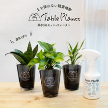 画像をギャラリービューアに読み込む, 【土を使わない観葉植物】風水で選ぶ！テーブルプランツ(Table Plants) 3種+Table Plants Waterセット
