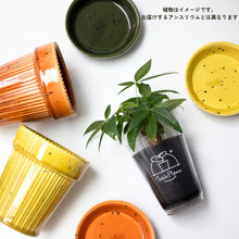 画像をギャラリービューアに読み込む, 【母の日ギフト】土を使わない観葉植物テーブルプランツ(Table Plants) アンスリウム×陶器鉢セット
