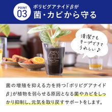 画像をギャラリービューアに読み込む, 【導入活力剤】cu:Leaf®（キュリーフ）
