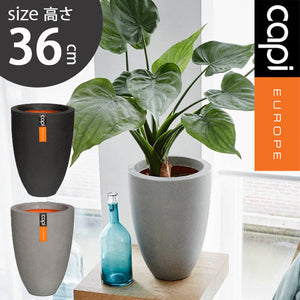 【軽くて環境にやさしい植木鉢】CAPI ベースエレガント ロウ スムース 直径26cm×高さ36cm