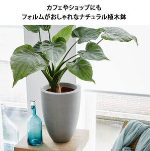 【軽くて環境にやさしい植木鉢】CAPI ベースエレガント ロウ スムース 直径26cm×高さ36cm