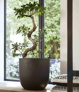 【軽くて環境にやさしい植木鉢】CAPI エッグプランター スムース 直径43cm×高さ41cm