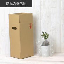 画像をギャラリービューアに読み込む, 【予約商品：1/19以降発送】苔テラリウムミニ アソート LED付 2鉢セット 高さ約9cm
