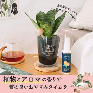 【おやすみプランツ】最高の睡眠体験を。眠りのためのミスト×TablePlants(テーブルプランツ)セット