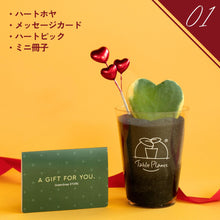 画像をギャラリービューアに読み込む, 【土を使わない観葉植物】テーブルプランツ（Table Plants）ハートホヤ バレンタインセット数量限定
