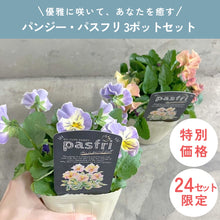 画像をギャラリービューアに読み込む, 【限定24セット】パンジー・パスフリ 3.5号 3ポットセット ※予約商品:12/14まで 出荷予定:12/19
