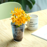 【土を使わない花】テーブルプランツ(Table Plants) デンドロビウム 数量限定　