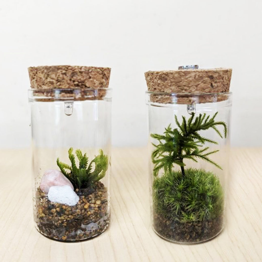 【予約商品：1/19以降発送】苔テラリウムミニ アソート LED付 2鉢セット 高さ約9cm