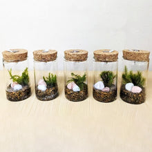 画像をギャラリービューアに読み込む, 【予約商品：1/19以降発送】苔テラリウムミニ アソート LED付 2鉢セット 高さ約9cm
