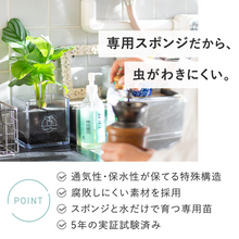 画像をギャラリービューアに読み込む, 【土を使わないサボテン】テーブルプランツキューブ(Table PlantsCUBE)  スミエボシ
