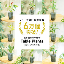 画像をギャラリービューアに読み込む, ギフトにおすすめ！【土を使わない観葉植物】テーブルプランツ (Table Plants) ×マクラメカバー×Table Plants Water(テーブルプランツウォーター)セット
