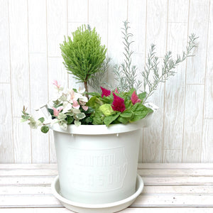 【予約商品：10/15発送】秋の寄せ植えキット クレストスタンド芯