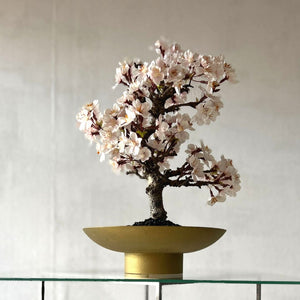 【一点物】桜のドライ盆栽® 「祝」 金石目調塗り 枯れ盆栽　※桜の花はフェイクフラワーです