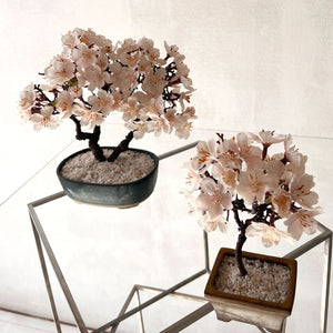 桜のドライ盆栽® 「祝」盆栽鉢（茶）※桜の花はフェイクフラワーです
