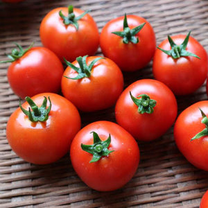 【トマトの食べ比べ】 3種のトマトセット