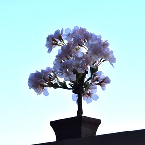 桜のドライ盆栽® 「花見」盆栽鉢（茶）※桜の花はフェイクフラワーです