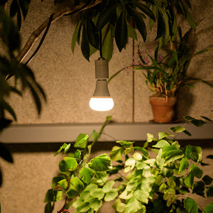 【自然光に近い植物ライト】育てるあかり