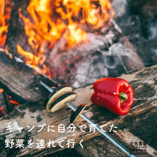 画像をギャラリービューアに読み込む, キャンプやBBQにも 3種選べる夏野菜セット（3苗）
