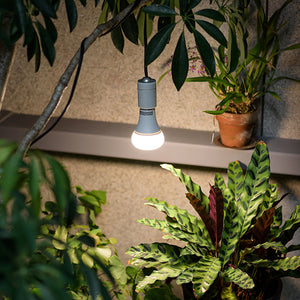 【自然光に近い植物ライト】育てるあかり
