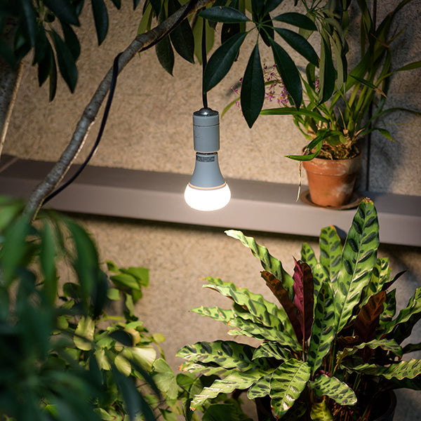 【自然光に近い植物ライト】育てるあかり