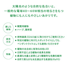 画像をギャラリービューアに読み込む, 【自然光に近い植物ライト】育てるあかり

