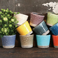カラー グレイズド ポットS  | COLOR GLAZED POT S(2号鉢：全10色)