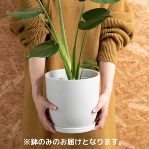 【インテリアに馴染むおしゃれな植木鉢】SHEL'TTER GREEN リサイクルポットMIX 5号