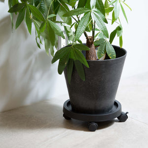 【植木鉢の移動が簡単 キャスター付】プランツトレイ φ280mm | PLANTS TRAY