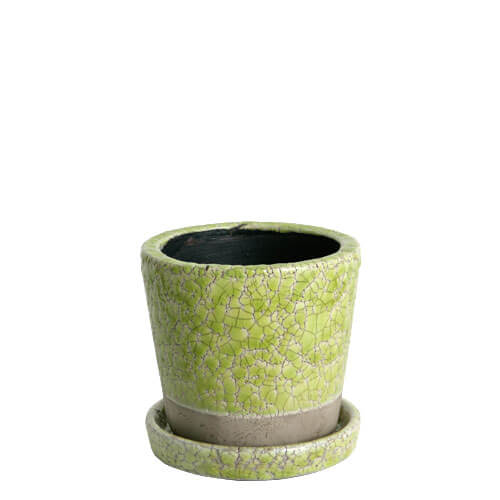 カラー グレイズド ポットS  | COLOR GLAZED POT S(2号鉢：全10色)