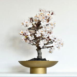 【一点物】桜のドライ盆栽® 「祝」 金石目調塗り 枯れ盆栽　※桜の花はフェイクフラワーです