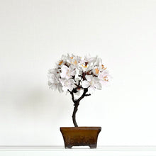 画像をギャラリービューアに読み込む, 桜のドライ盆栽® 「祝」盆栽鉢（茶）※桜の花はフェイクフラワーです
