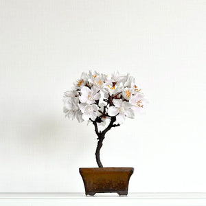 桜のドライ盆栽® 「祝」盆栽鉢（茶）※桜の花はフェイクフラワーです