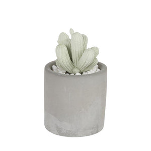 カクタスフレグランススプリングフラワー   Cactus fragrance diffuser Spring flower