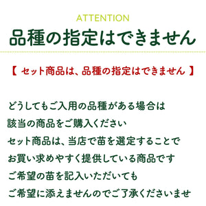 【ハーブ栽培キット】ハーブ苗×4個、土、肥料、プラ製プランター（アンティーク 吊り下げサークル 白or茶）