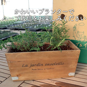 【ハーブ栽培キット】ハーブ苗×2個、土、肥料、プランターセット（木製プランター）