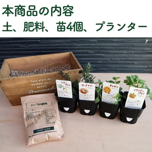 【ハーブ栽培キット】ハーブ苗×4個、土、肥料、プランターセット（ナチュラルウッド）