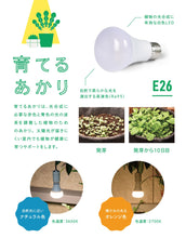 画像をギャラリービューアに読み込む, 【自然光に近い植物ライト】育てるあかり
