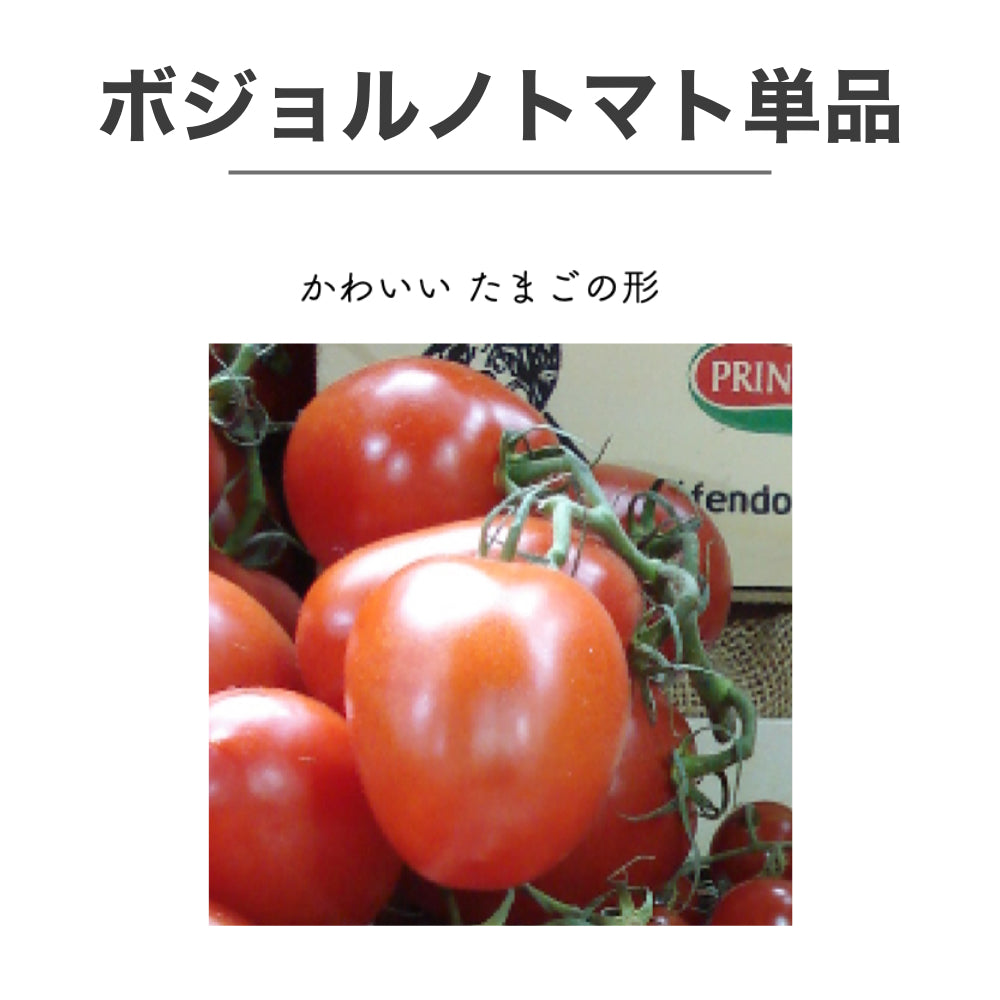 トマトソースやトマト料理に使えるイタリアントマト